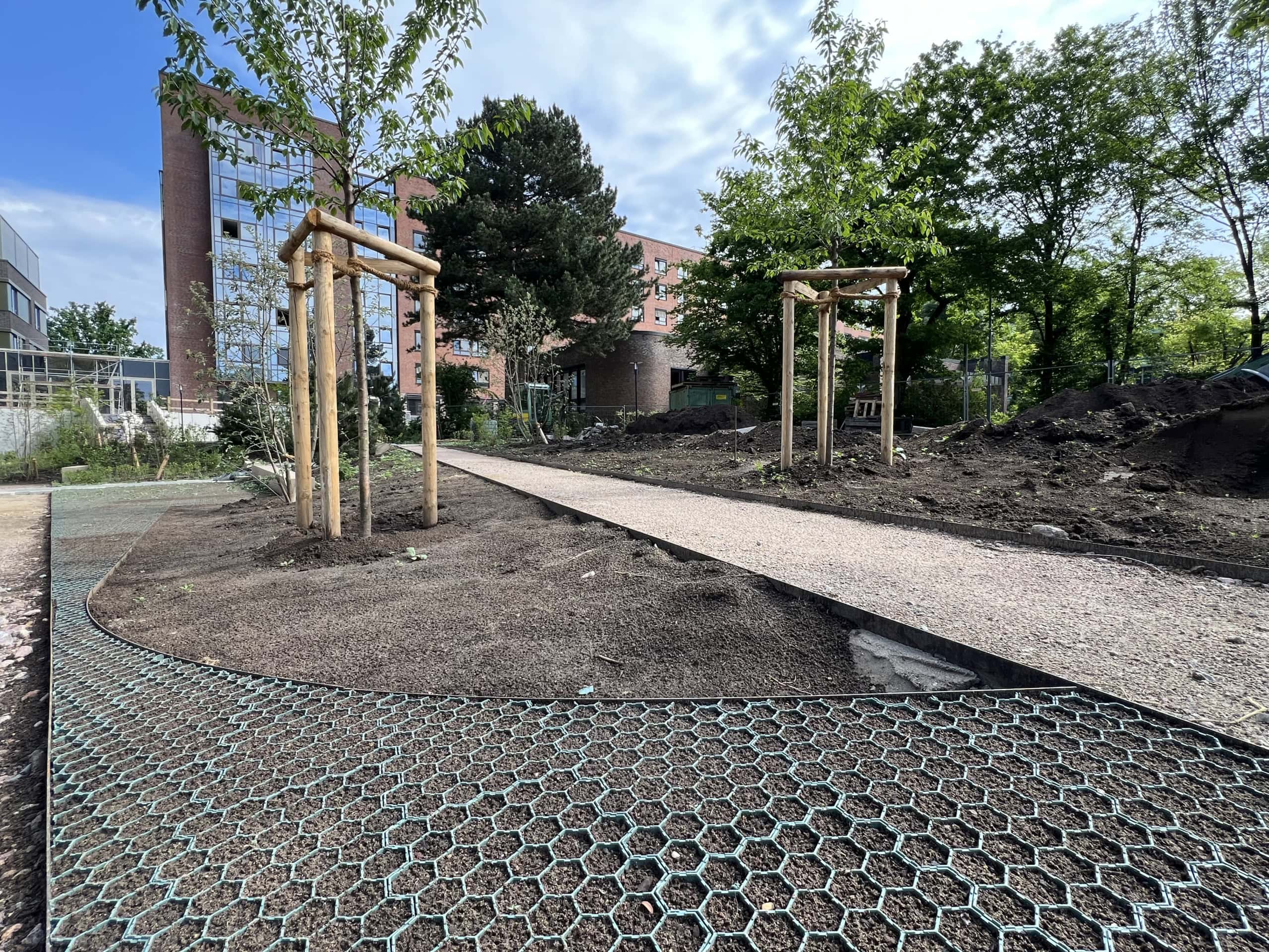 Cortiflex 160 mm, Wegeeinfassung aus Corten-Stahl /Cortensteel
