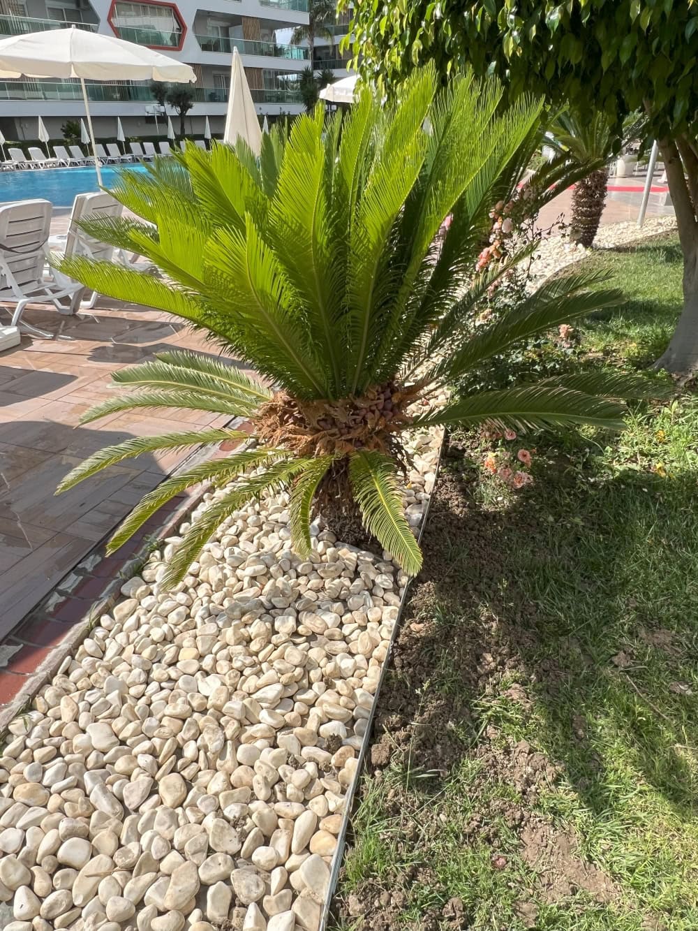 Viaflex