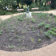 "Die Schöne" von Hanno Edelmann Eichtalpark in Hamburg-Wandsbek